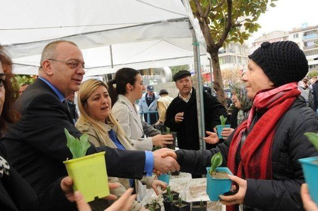 Manisa’da Lale Haftası Başladı