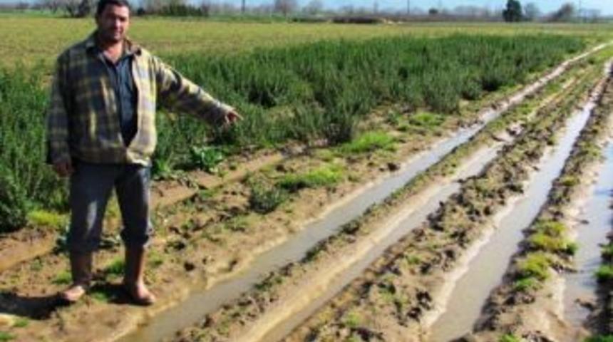 2 Aydır Arazilerine Giremiyorlar