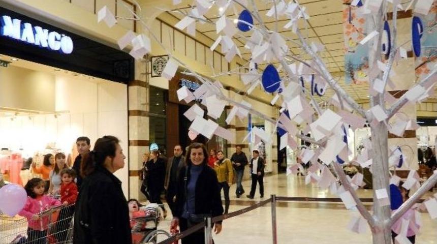 &lsquo;dilek Ağacı&rsquo; Kadınların Sesi Olacak