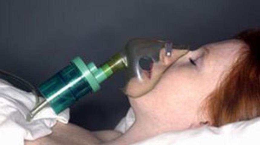 Bitkisel hayattakiler d&uuml;nyayı anlıyor