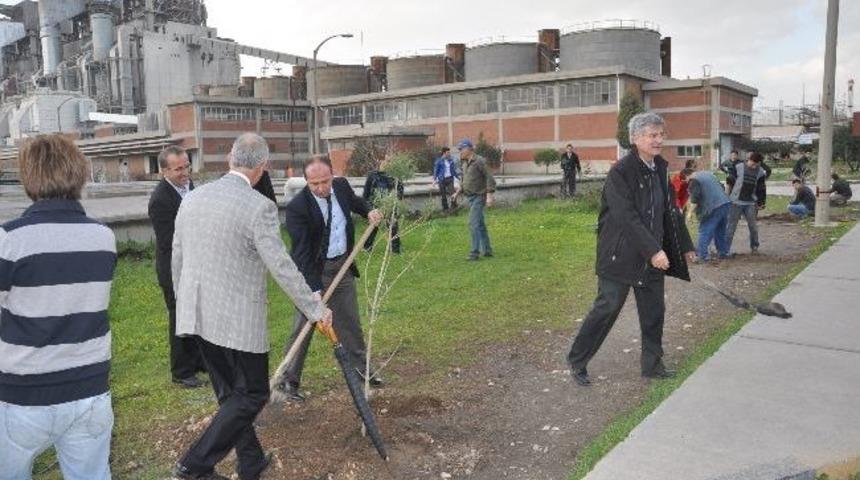 Soma'da Santral Fidanlarla Yeşerecek