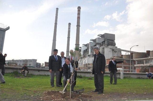 Soma'da Santral Fidanlarla Yeşerecek