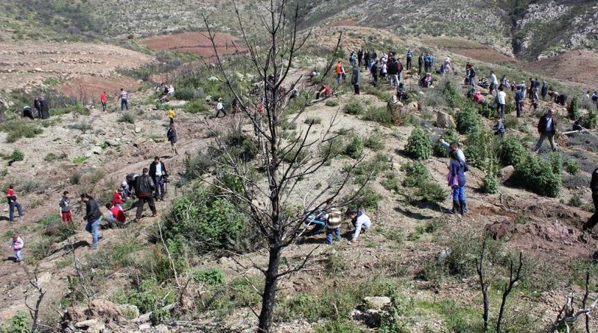 Sinerji Derneği Bir G&uuml;nde 700 Ağa&ccedil; Dikti