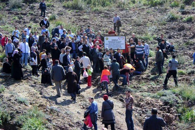 Sinerji Derneği Bir Günde 700 Ağaç Dikti