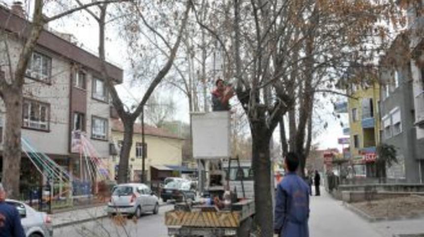 Ankara'da Bahar D&ouml;nemi Ağa&ccedil; Budama Ve Bakım &Ccedil;alışmaları Başladı