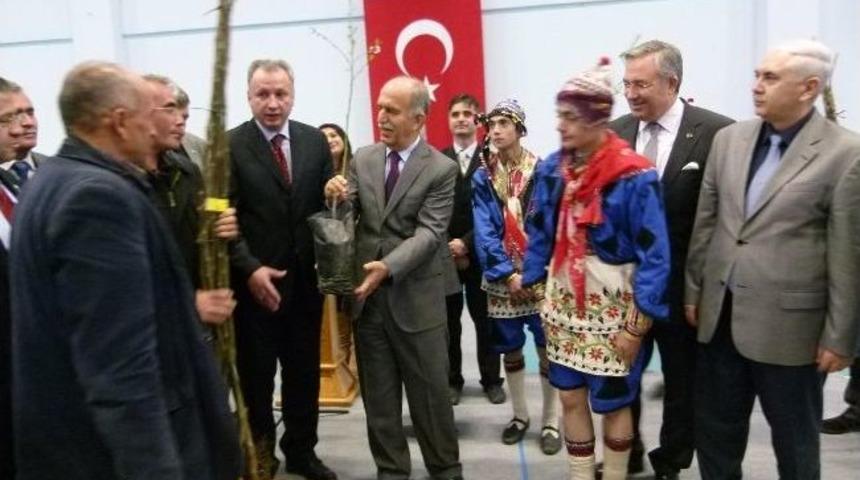 Dağ Y&ouml;resinde Ceviz &Uuml;retimi Yaygınlaşıyor