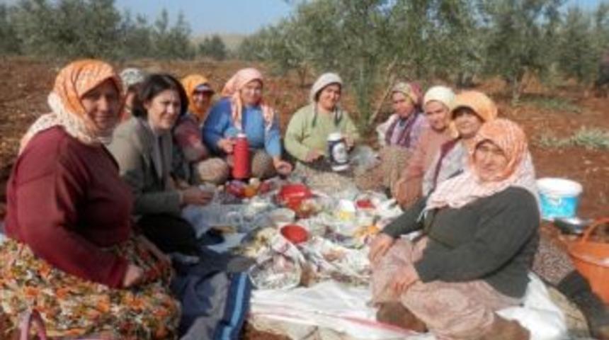 Chp’li Öz’den Kooperatif Eleştirisi