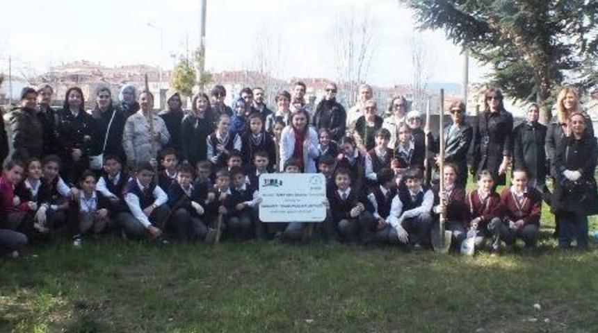 &Ouml;ğrenciler Okul Bah&ccedil;esine Fidan Dikti