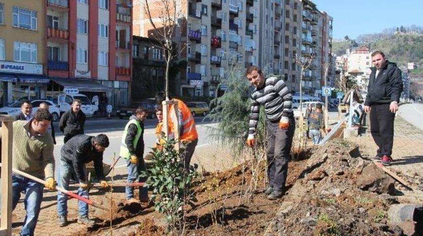 Giresun Belediyesi&rsquo;nden Bahar Bakımı