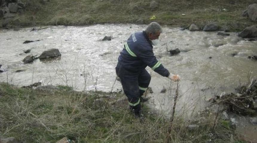 Develi İl&ccedil;esinde İla&ccedil;lama &Ccedil;alışmaları Başladı
