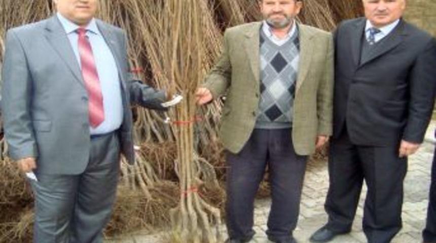 Simav'da &Ccedil;ift&ccedil;ilere Meyve Fidanı Dağıtıldı