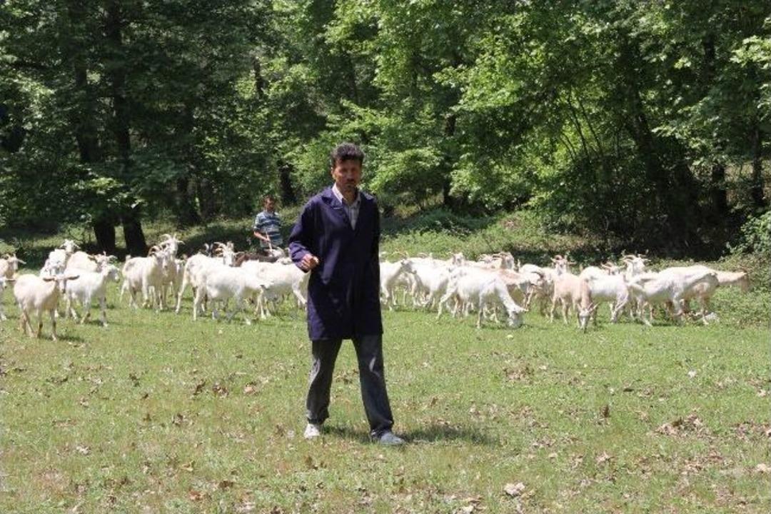 İnternet Ortamında &Ouml;ğrendiği Ke&ccedil;i Yetiştiriciliğiyle &Ccedil;iftlik Kurdu
