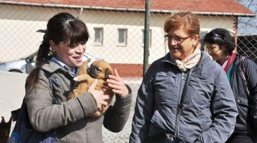 Hayvanseverlerden Hayvan Sağlık Merkezi'ne Ziyaret