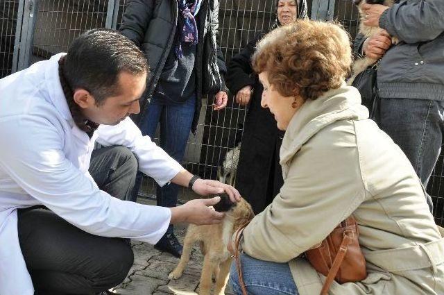 Hayvanseverlerden Hayvan Sağlık Merkezi'ne Ziyaret