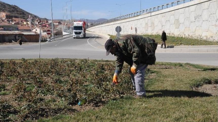 Boz&uuml;y&uuml;k&rsquo;te Bahar Hazırlıkları