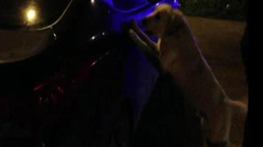 Adana'da Uyuşturucu Operasyonu