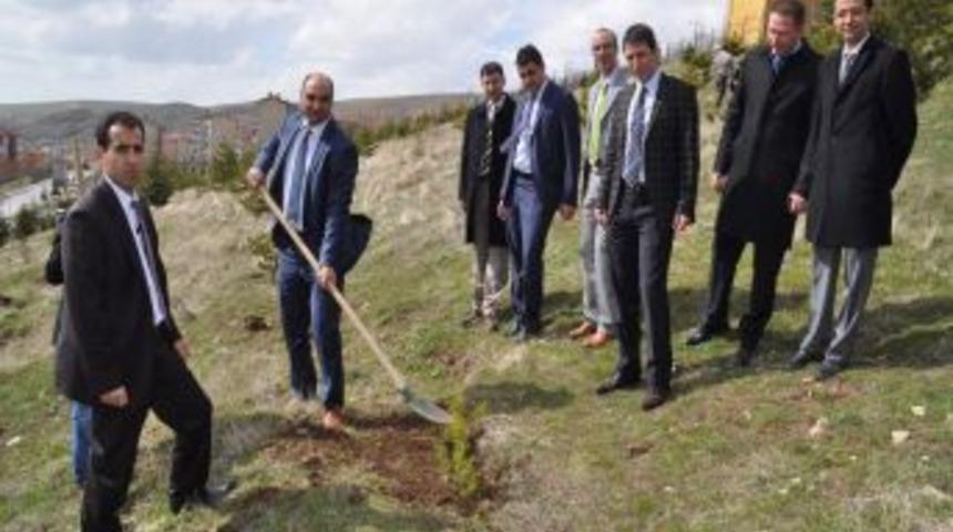 Savcı Ve Hakimler Adliye Bah&ccedil;esine Fidan Dikti