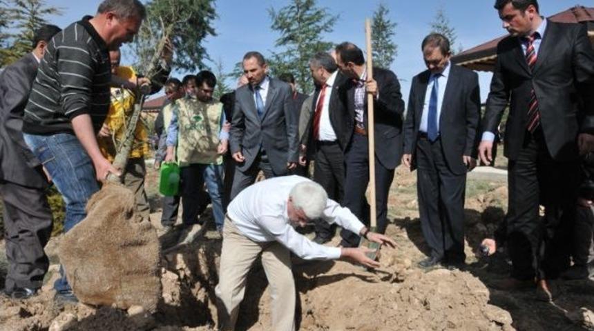 Vali Hakkı Teke Hatıra Ormanına Fidan Dikimi