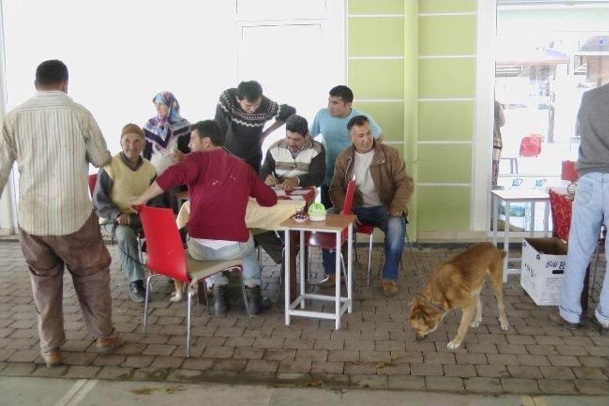 Kara&ccedil;ulha&rsquo;da K&ouml;peklere Aşı Uygulaması Ger&ccedil;ekleştiriliyor