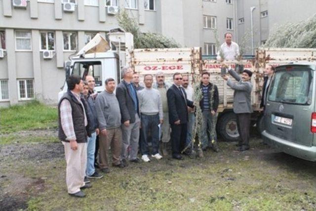 Dalaman’da 4 Bin Adet Zeytin Fidanı Toprakla Buluşyor