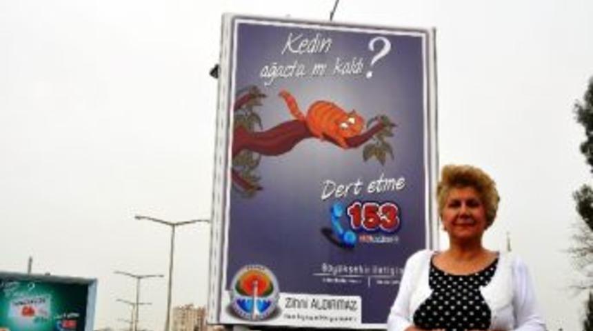 Hayvanseverleri Sevindiren Kedili Afiş