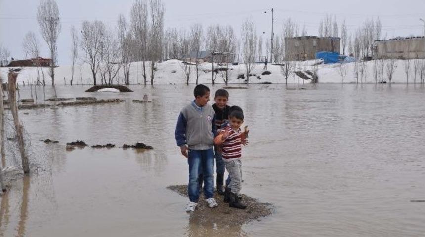 Muş Ovası Sular Altında Kaldı
