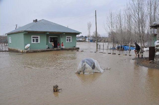 Muş Ovası Sular Altında Kaldı