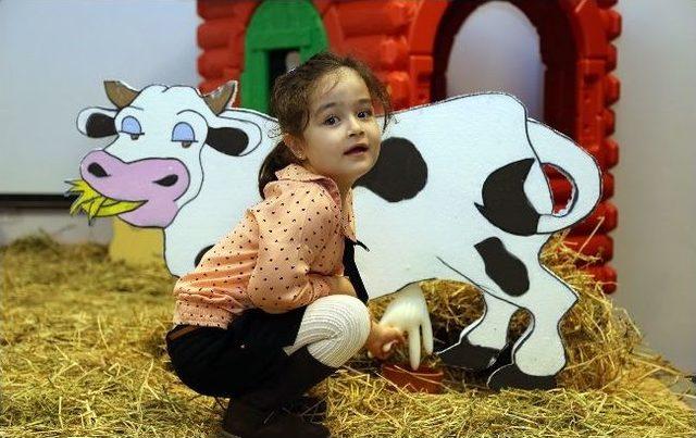 İhlas Anaokulu’nda Bilim Şenliği