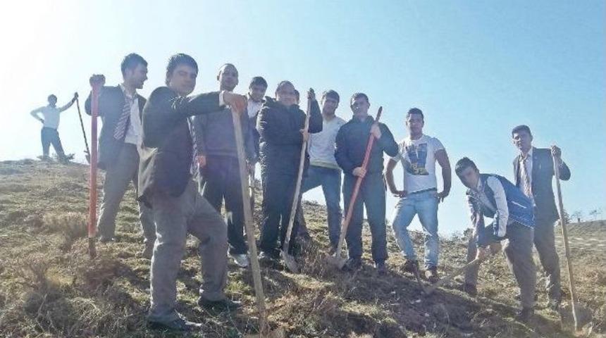 Sungurlu&rsquo;da Sporcular Fidan Dikti