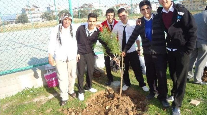 Didim Turizm Lisesi'nde Ağa&ccedil;landırma &Ccedil;alışmaları