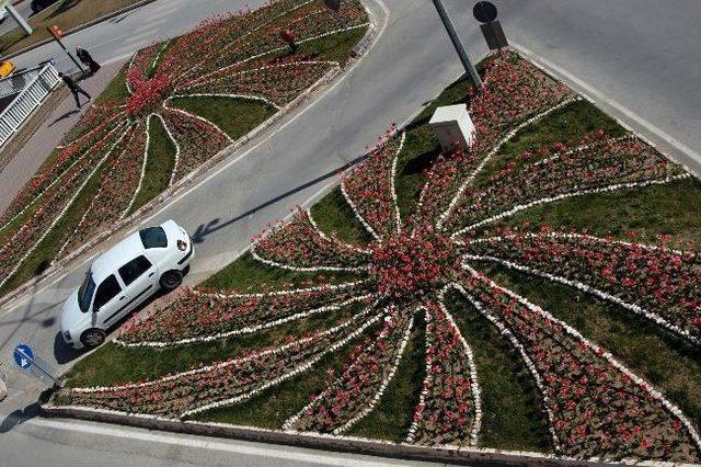 Büyükşehir Kavşaklarda Peyzaj Düzenleme Çalışmalarına Başladı