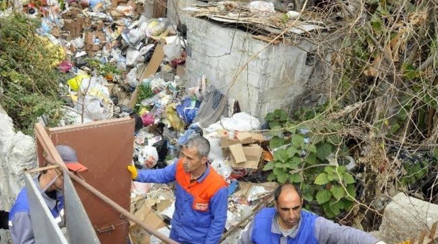 &Ccedil;&ouml;p Evden 3 Kamyon '&ccedil;&ouml;p' &Ccedil;ıktı