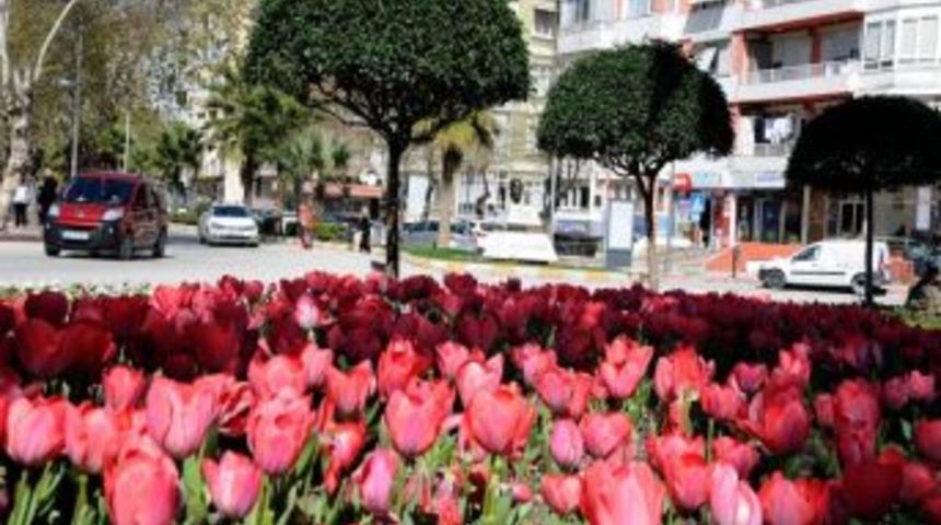 Antakya’nın Estetiğine Çiçek Katkısı