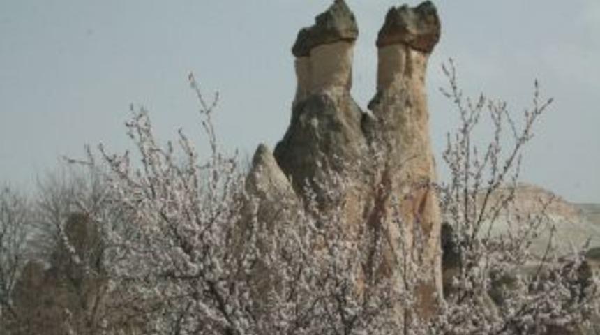 Bahar Geldi Kapadokya'da Peribacaları Çiçek Açtı