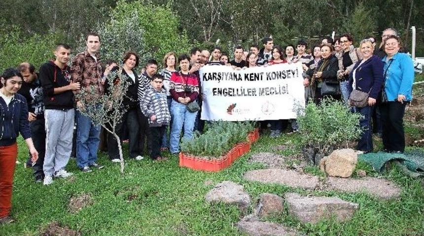 Ağa&ccedil; Sevgisi Engel Tanımadı