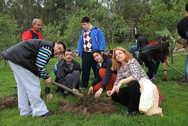 Ağaç Sevgisi Engel Tanımadı