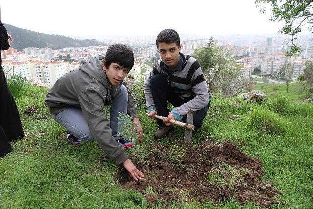 Ağaç Sevgisi Engel Tanımadı