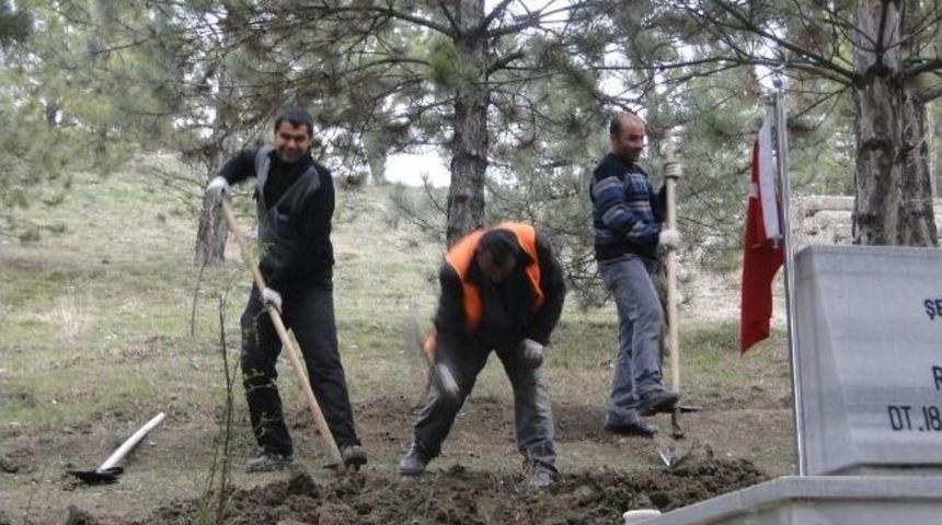 Karşıyaka Şehitliği G&uuml;zelleşiyor