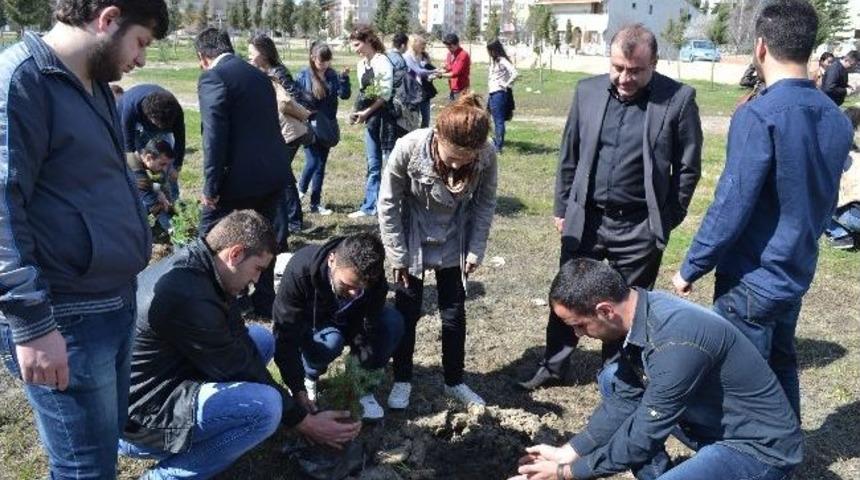 Gelibolu&rsquo;da Her Şehide Bir Fidan