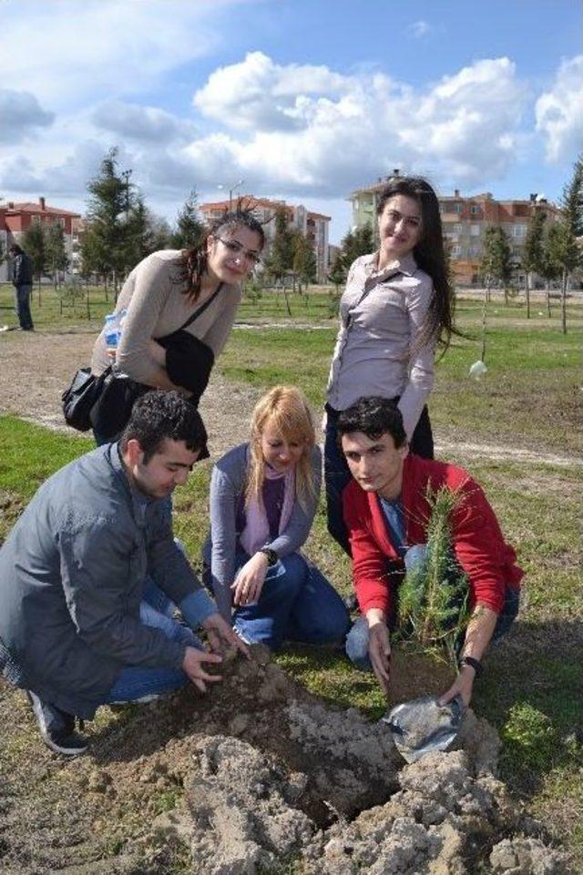 Gelibolu’da Her Şehide Bir Fidan