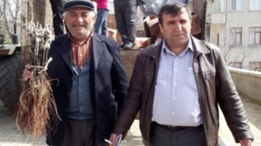 Karayakalı &Ccedil;ift&ccedil;ilere 55 Bin Asma Fidanı Dağıtıldı