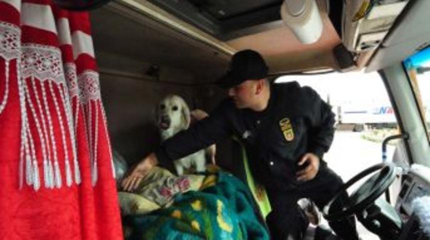 Jandarma Ekipleri TIR'la Getirilen Esrarı Yakaladı