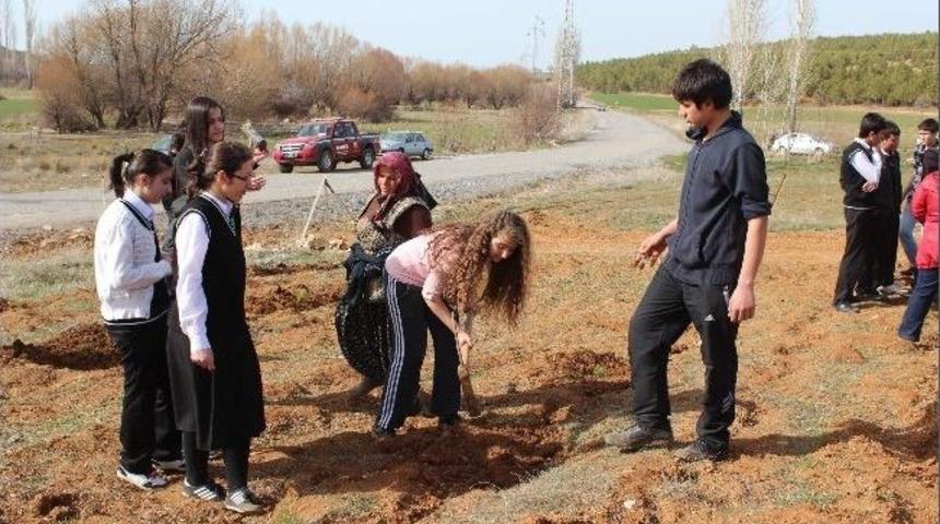 Beyşehir&rsquo;de &Ouml;ğrenciler Fidanları Toprakla Buluşturdu