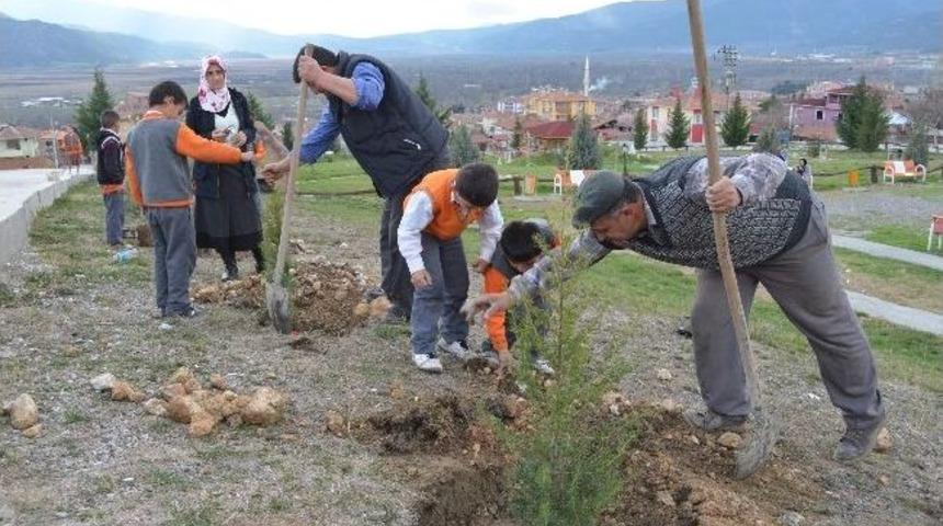 Minik &Ouml;ğrenciler Parka Fidan Dikti