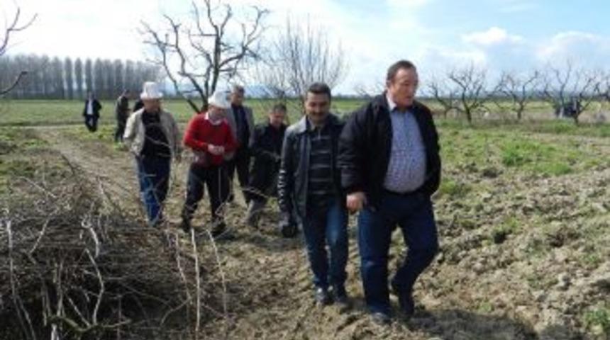 Kırgızistan Heyeti Mustafakemalpaşa'da Ormancılıkla Ilgili Incelemede Bulundu