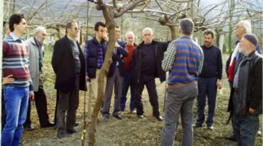 Sapanca'da Kivi &Uuml;reticilerine Eğitim