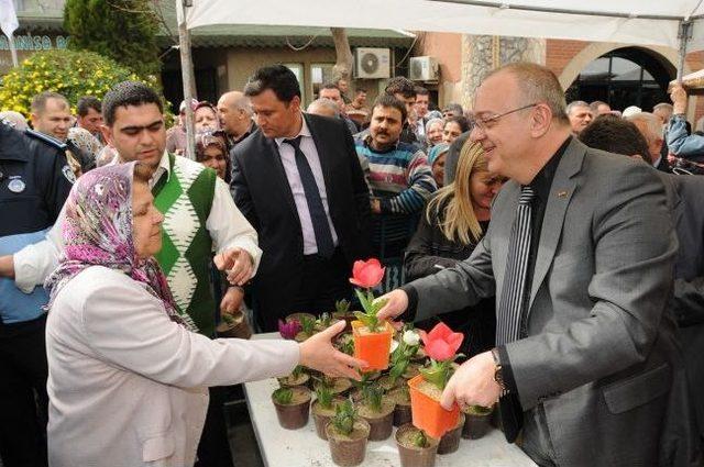 Başkan Ergün, Perşembe Pazarında Vatandaşlara Çiçek Dağıttı