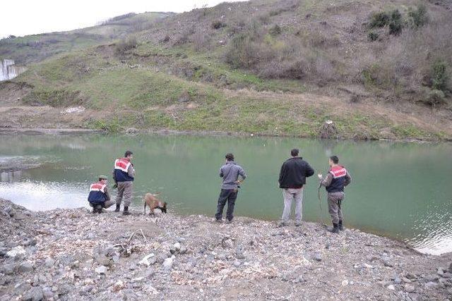 Afad Ekibi Dağ Taş Kayıp Şahsı Arıyor