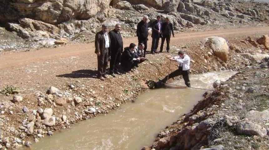 Buğday Deresi G&ouml;letinde İnceleme