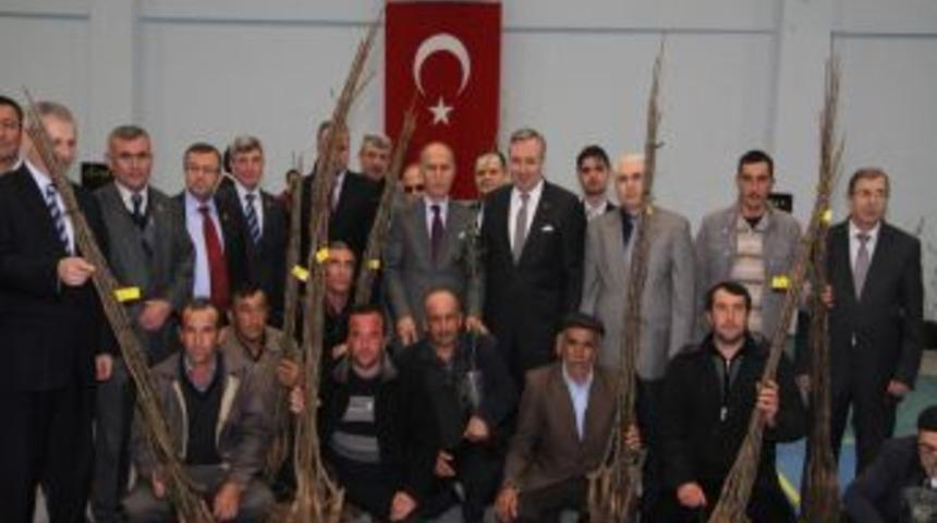 Kelesli &Ccedil;ift&ccedil;ilere 40 Bin Ceviz Ve Badem Fidanı